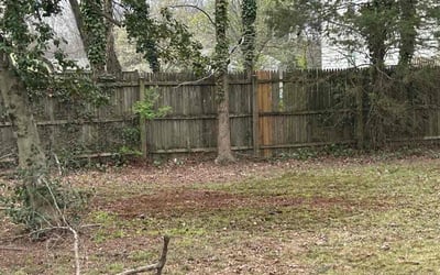 Photo of Moses M.'s yard after getting tree care in Sterling, VA