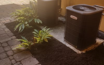Photo of Jack E.'s yard after getting tree care in Liberty, TX