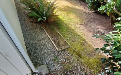 Photo of Jamie B.'s yard after getting landscaping in Duvall, WA