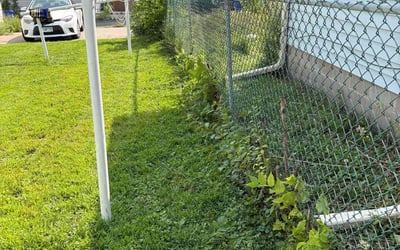 Photo of Joy M.'s yard after getting tree care in Jordan, MN