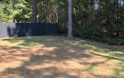 Photo of Derek C.'s yard after getting landscaping in Saint Stephen, SC