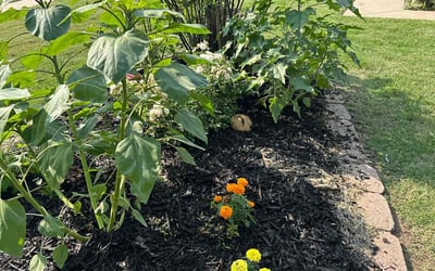 Photo of Heather S.'s yard after getting landscaping in Harrah, OK