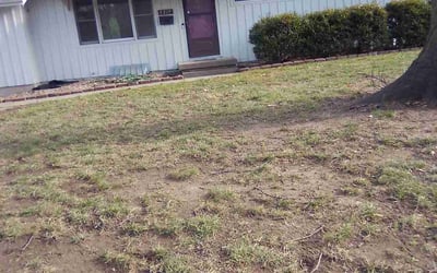 Photo of Justin F.'s yard after getting landscaping in Louisburg, KS
