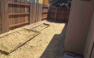 Photo of Marie C.'s yard after getting landscaping in Kings Beach, CA