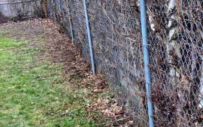 Photo of Kathy B.'s yard after getting landscaping in Gresham, OR