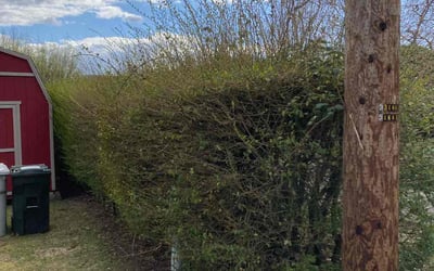Photo of Robert D.'s yard after getting landscaping in North Lakewood, WA