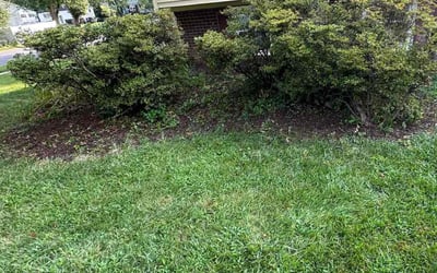 Photo of Diane W.'s yard after getting landscaping in Bryantown, MD