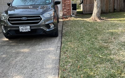 Photo of Miriam R.'s yard after getting landscaping in Anahuac, TX
