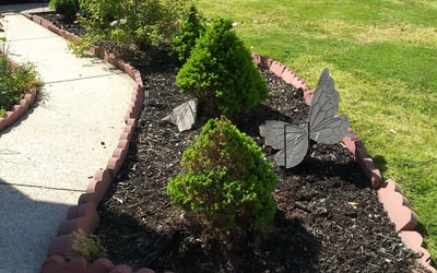 Photo of William H.'s yard after getting landscaping in Marlton, NJ