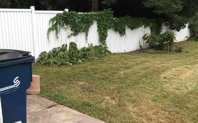 Photo of Tod P.'s yard after getting tree care in New Berlin, WI