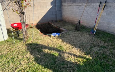 Photo of Sarah S.'s yard after getting landscaping in Sun City West, AZ