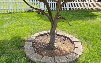 Photo of Rosa l.'s yard after getting landscaping in Lusby, MD