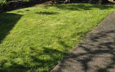 Photo of Jennifer S.'s yard after getting landscaping in Vancouver, WA