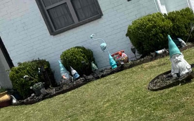 Photo of Tammy K.'s yard after getting landscaping in Sanger, TX