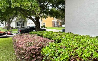 Photo of Sarah V.'s yard after getting tree care in Yulee, FL