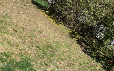 Photo of John B.'s yard after getting landscaping in Narragansett, RI