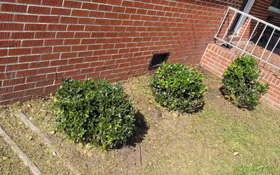 Photo of Brittany S.'s yard after getting landscaping in Cardinal, VA