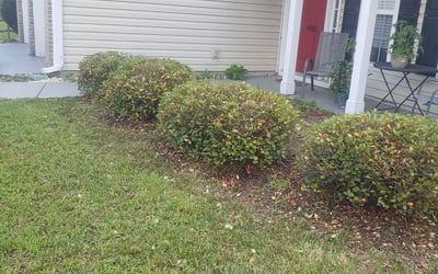 Photo of Amber H.'s yard after getting landscaping in Mc Adenville, NC