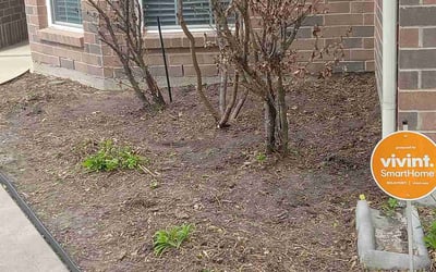 Photo of Jessica P.'s yard after getting landscaping in Liverpool, TX