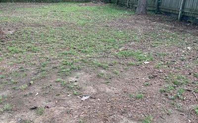 Photo of Amanda T.'s yard after getting landscaping in Little Rock, AR