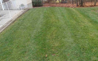 Photo of Bryan U.'s yard after getting lawn care in Hampstead, MD