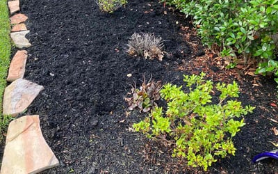 Photo of Mason M.'s yard after getting landscaping in Cypress, TX