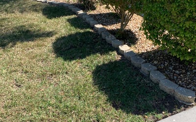 Photo of Nicole S.'s yard after getting landscaping in Saint Leo, FL