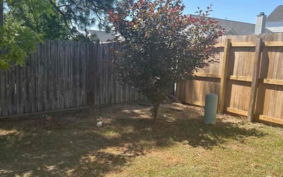 Photo of James J.'s yard after getting landscaping in Lexington, SC