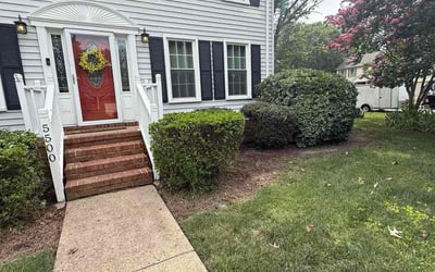 Photo of Nancy H.'s yard after getting tree care in Newport News, VA