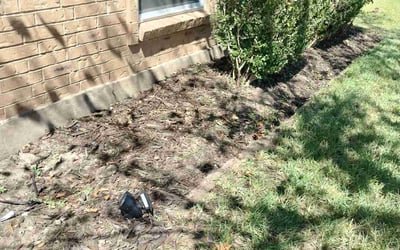 Photo of Brandon D.'s yard after getting landscaping in Ferris, TX