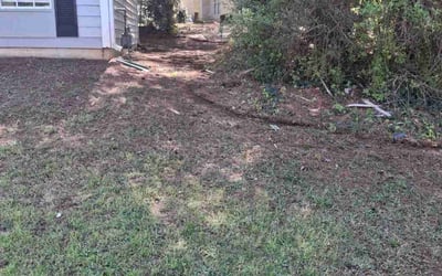 Photo of Nikki M.'s yard after getting landscaping in Stone Mountain, GA