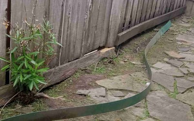 Photo of Nicholas N.'s yard after getting landscaping in Port Bolivar, TX