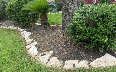 Photo of Micah B.'s yard after getting landscaping in Katy, TX
