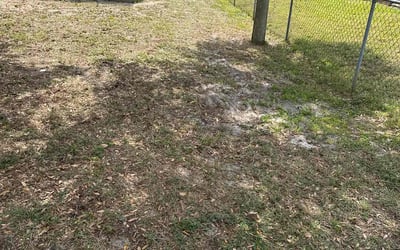 Photo of Summer S.'s yard after getting landscaping in North Port, FL