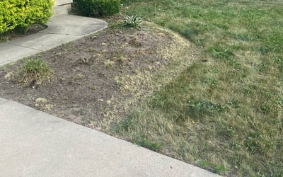 Photo of Josh A.'s yard after getting landscaping in Zeeland, MI