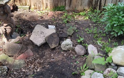 Photo of Alexis R.'s yard after getting landscaping in White Lake, MI