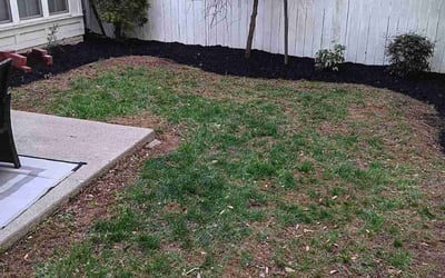 Photo of Pal H.'s yard after getting landscaping in Ashburn, VA