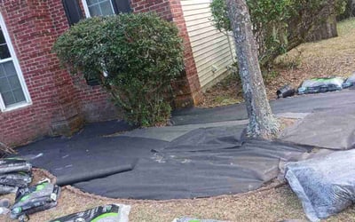 Photo of Michael G.'s yard after getting landscaping in North Charleston, SC