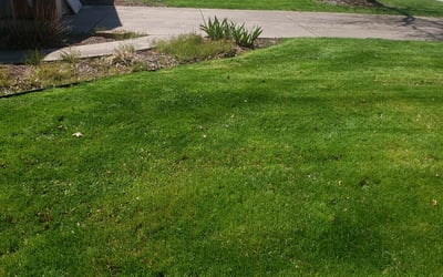 Photo of Kathleen H.'s yard after getting landscaping in Lagrange, OH