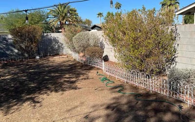 Photo of Stephanie B.'s yard after getting landscaping in Aguila, AZ