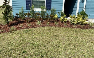 Photo of Daniela T.'s yard after getting tree care in Fort Myers, FL
