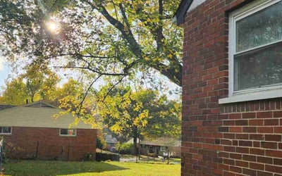 Photo of Richard H.'s yard after getting landscaping in Augusta, KY
