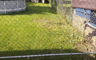 Photo of Jackie W.'s yard after getting landscaping in Carver, MN