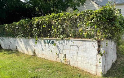 Photo of Josh S.'s yard after getting landscaping in Harpers Ferry, WV