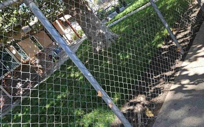 Photo of Gary G.'s yard after getting landscaping in Rio Linda, CA