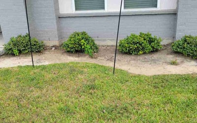 Photo of Amanda P.'s yard after getting landscaping in Baytown, TX
