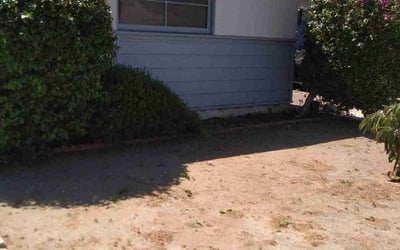 Photo of Drew C.'s yard after getting landscaping in Valencia, CA