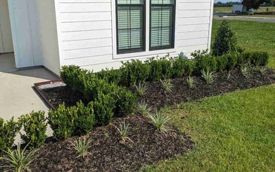 Photo of Greg H.'s yard after getting landscaping in New Roads, LA