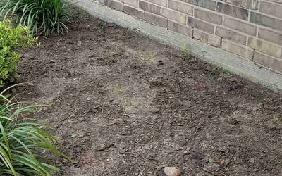Photo of Christina A.'s yard after getting landscaping in Guy, TX