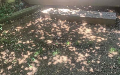 Photo of Misty A.'s yard after getting tree care in Claremore, OK